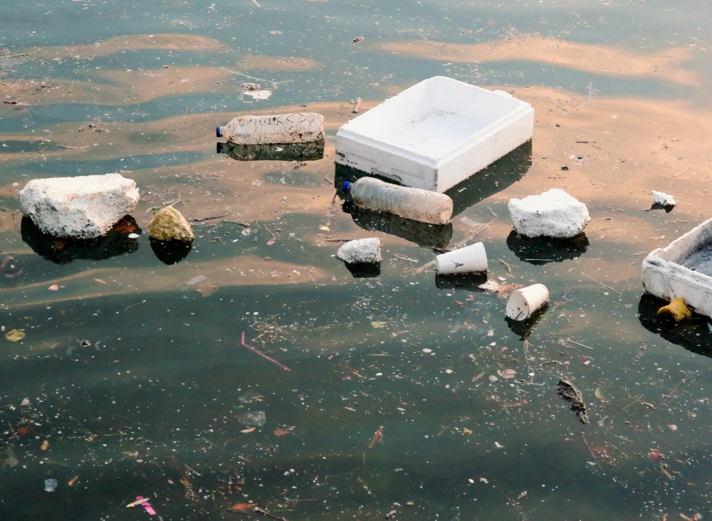 The Ripple Effect: Exploring How Water Pollution Impacts Human Health