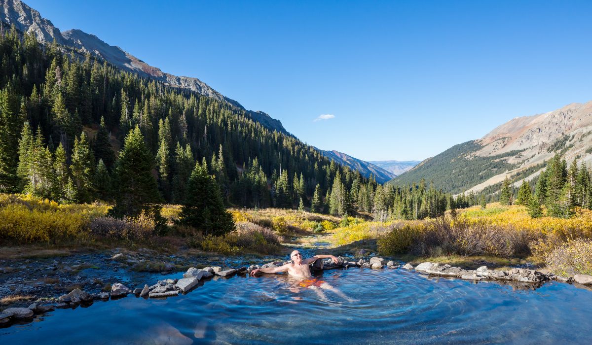 What Percentage of the Human Body Is Water?
